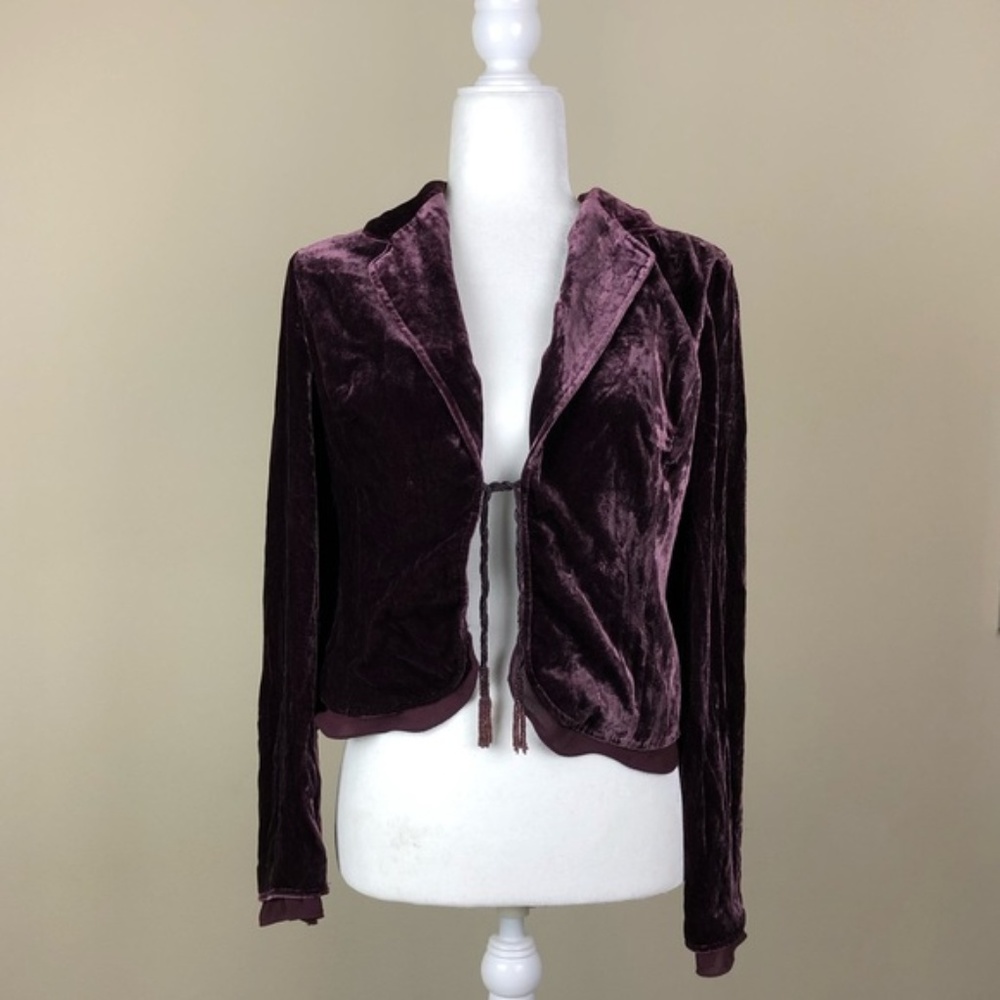 THE LIMITED | Purple Velvet Jacket Chiffon | Small
